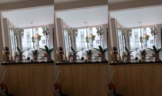 barbicienta5 TikTok Live — Aug 24, 2026, 10:37 PM