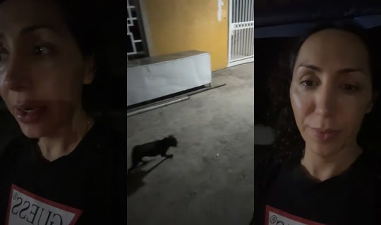 barbiefactory05 TikTok Live — Aug 26, 2026, 6:01 AM