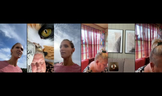bare.yvonne TikTok Live — Sep 3, 2026, 1:01 PM