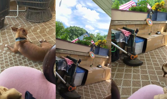 bartey74 TikTok Live — Aug 26, 2026, 4:21 PM