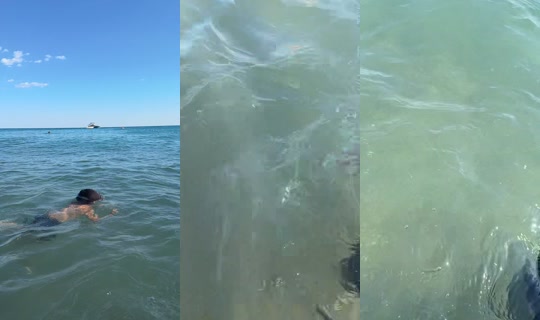 bayanhoke TikTok Live — Aug 29, 2026, 1:58 PM