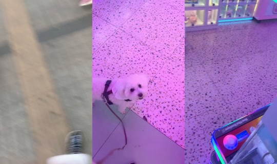bebebaby19 TikTok Live — Oct 7, 2026, 8:29 AM
