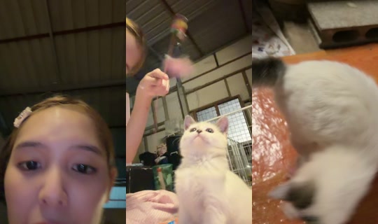 beebeam47 TikTok Live — Aug 21, 2026, 3:30 PM