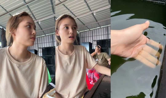 beebeam47 TikTok Live — Aug 29, 2026, 3:30 AM
