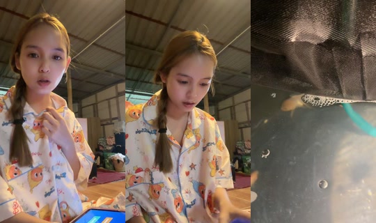 beebeam47 TikTok Live — Sep 3, 2026, 2:00 PM
