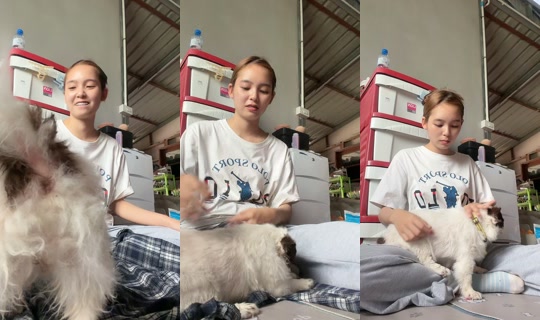 beebeam47 TikTok Live — Sep 6, 2026, 7:30 AM
