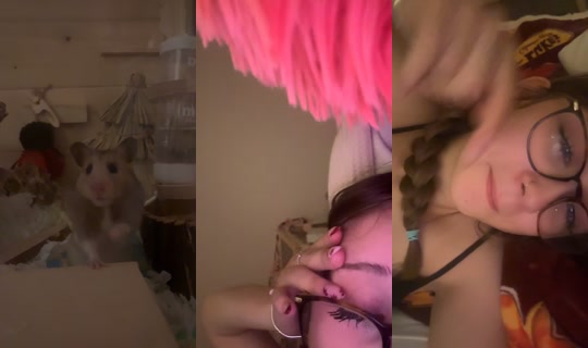 bellastxrs TikTok Live — Oct 3, 2026, 1:23 AM