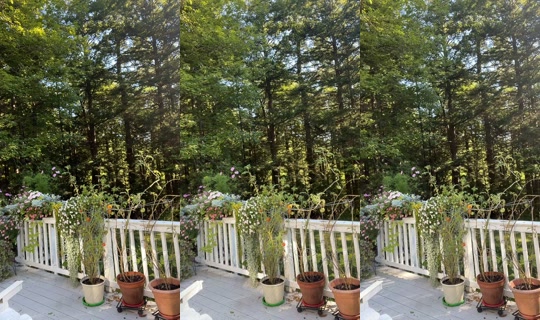 bellaybellaka TikTok Live — Sep 18, 2026, 7:54 PM