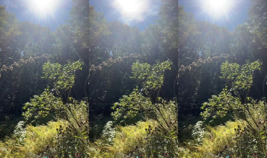 bellaybellaka TikTok Live — Sep 22, 2026, 5:28 PM