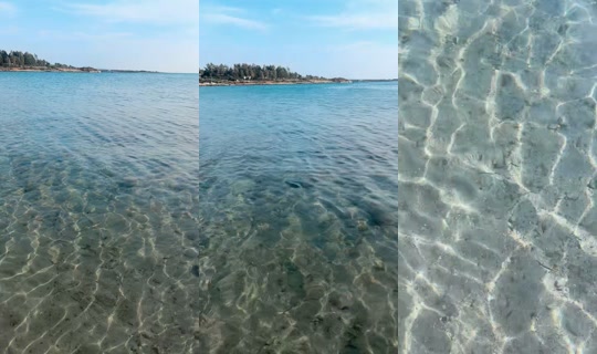 benaura6 TikTok Live — Oct 1, 2026, 1:37 PM