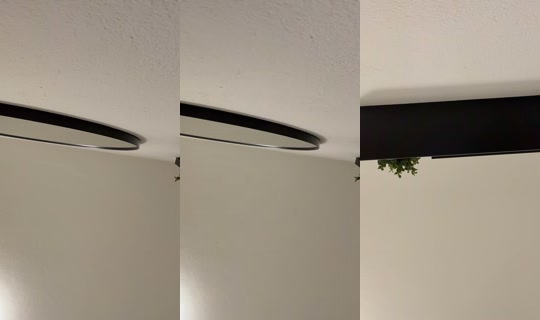 berlinaleyna TikTok Live — Aug 27, 2026, 3:36 PM