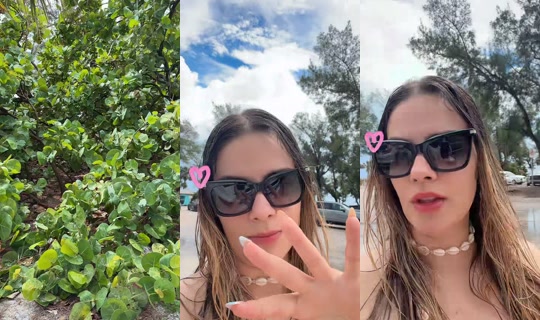 betsyvibes TikTok Live — Sep 7, 2026, 4:41 PM