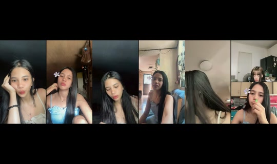 bibsybirds TikTok Live — Aug 24, 2026, 12:30 AM