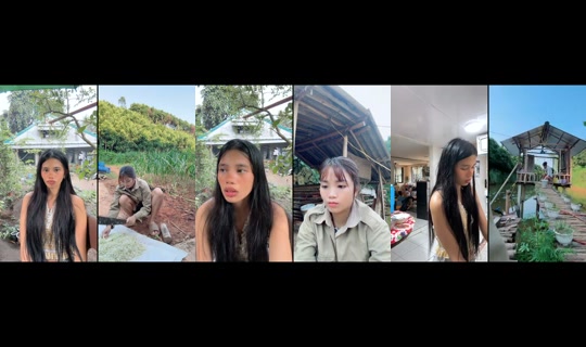 bibsybirds TikTok Live — Sep 3, 2026, 12:30 AM