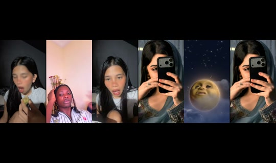 bibsybirds TikTok Live — Oct 5, 2026, 9:37 AM