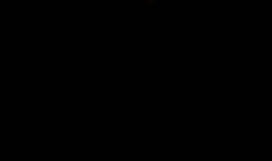 bijoudabijou22 TikTok Live — Sep 14, 2026, 5:21 AM