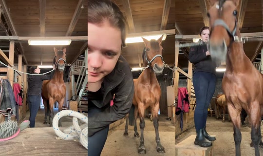 bjarnevi69 TikTok Live — Oct 5, 2026, 1:08 PM
