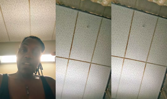blaquebeauty04 TikTok Live — Sep 1, 2026, 4:28 PM