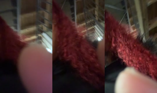 blasiianbaby2 TikTok Live — Sep 30, 2026, 6:32 AM
