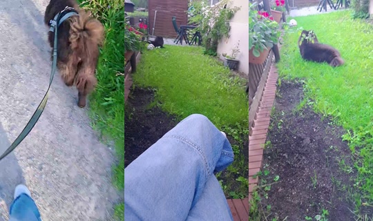 bloomm57 TikTok Live — Sep 27, 2026, 4:08 PM