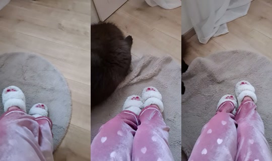 bloomm57 TikTok Live — Sep 28, 2026, 2:08 PM