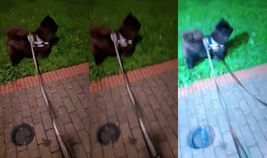 bloomm57 TikTok Live — Sep 29, 2026, 6:09 PM