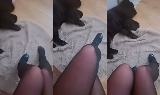 bloomm57 TikTok Live — Oct 3, 2026, 8:14 PM