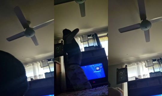 bossgurl202 TikTok Live — Aug 30, 2026, 3:49 AM