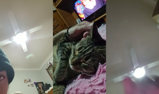 bossgurl202 TikTok Live — Sep 29, 2026, 1:56 PM