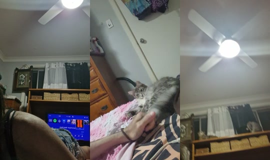 bossgurl202 TikTok Live — Oct 3, 2026, 9:34 AM