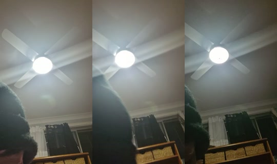 bossgurl202 TikTok Live — Oct 4, 2026, 8:58 AM