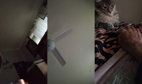 bossgurl202 TikTok Live — Oct 4, 2026, 8:59 PM