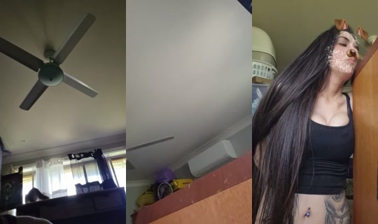 bossgurl202 TikTok Live — Oct 9, 2026, 1:13 AM