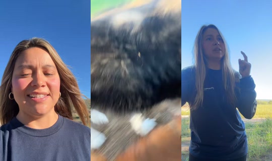 bri.tt.ni TikTok Live — Oct 4, 2026, 2:51 PM