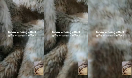british_elf1 TikTok Live — Oct 9, 2026, 6:56 PM