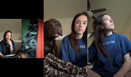 brooke.forresttt TikTok Live — Aug 25, 2026, 12:24 AM