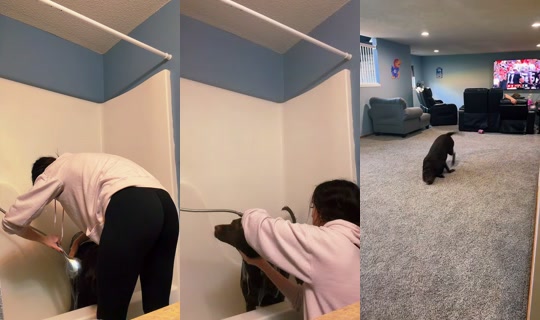 brooke.forresttt TikTok Live — Oct 4, 2026, 8:39 PM
