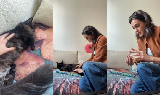 brookedeighton TikTok Live — Oct 3, 2026, 7:52 PM