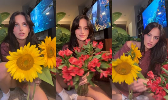brooklynxbk TikTok Live — Oct 4, 2026, 11:18 PM