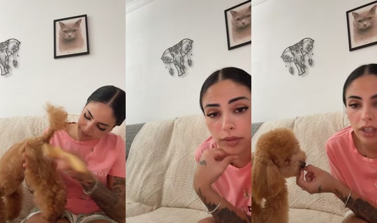browniecanichetoy TikTok Live — Sep 27, 2026, 6:54 PM