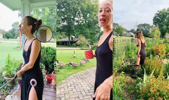bsgardening TikTok Live — Aug 21, 2026, 12:41 PM