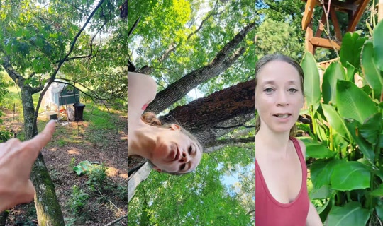 bsgardening TikTok Live — Aug 28, 2026, 2:20 PM