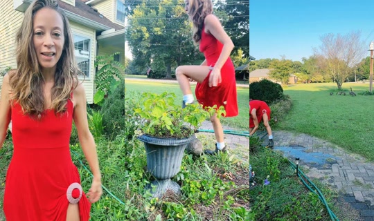 bsgardening TikTok Live — Sep 3, 2026, 12:08 PM