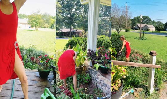 bsgardening TikTok Live — Sep 3, 2026, 3:24 PM