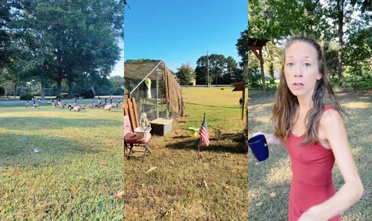 bsgardening TikTok Live — Sep 30, 2026, 1:58 PM