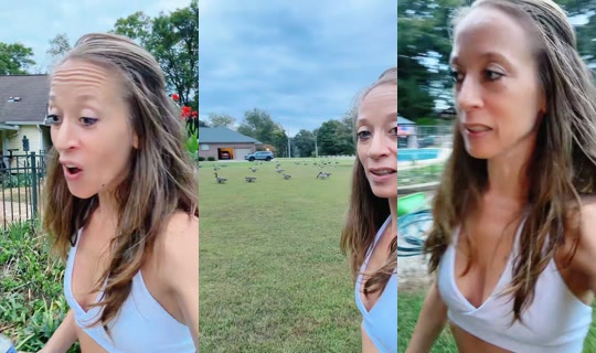 bsgardening TikTok Live — Oct 4, 2026, 11:21 PM