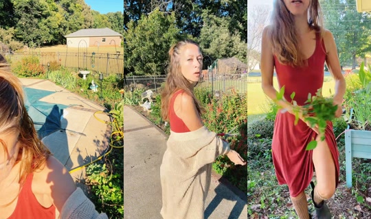bsgardening TikTok Live — Oct 7, 2026, 1:34 PM