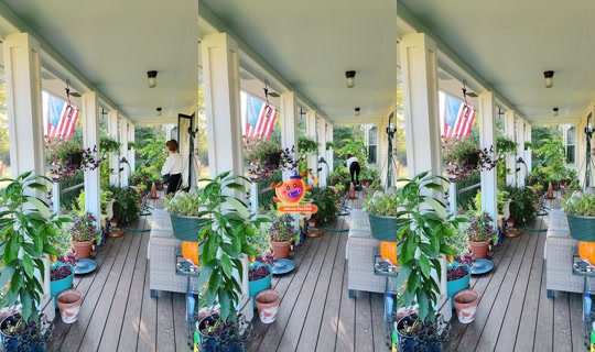 bsgardening TikTok Live — Oct 8, 2026, 12:54 PM