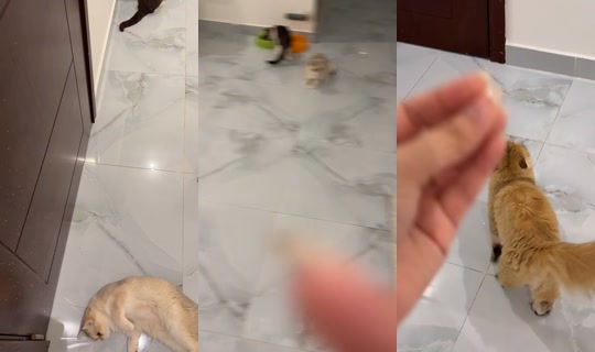 bthbth92 TikTok Live — Oct 2, 2026, 3:42 PM