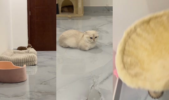 bthbth92 TikTok Live — Oct 2, 2026, 4:32 PM